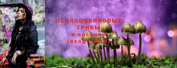 соль ск Армянск