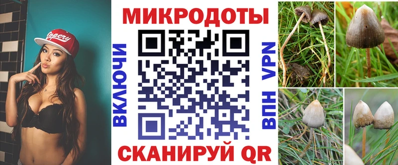 маркетплейс наркотические препараты Малоархангельск Псилоцибиновые грибы Cubensis